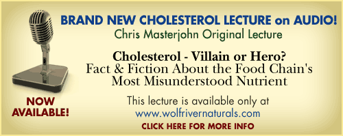 New Chris Masterjohn lecture
on cholesterol and heart disease
